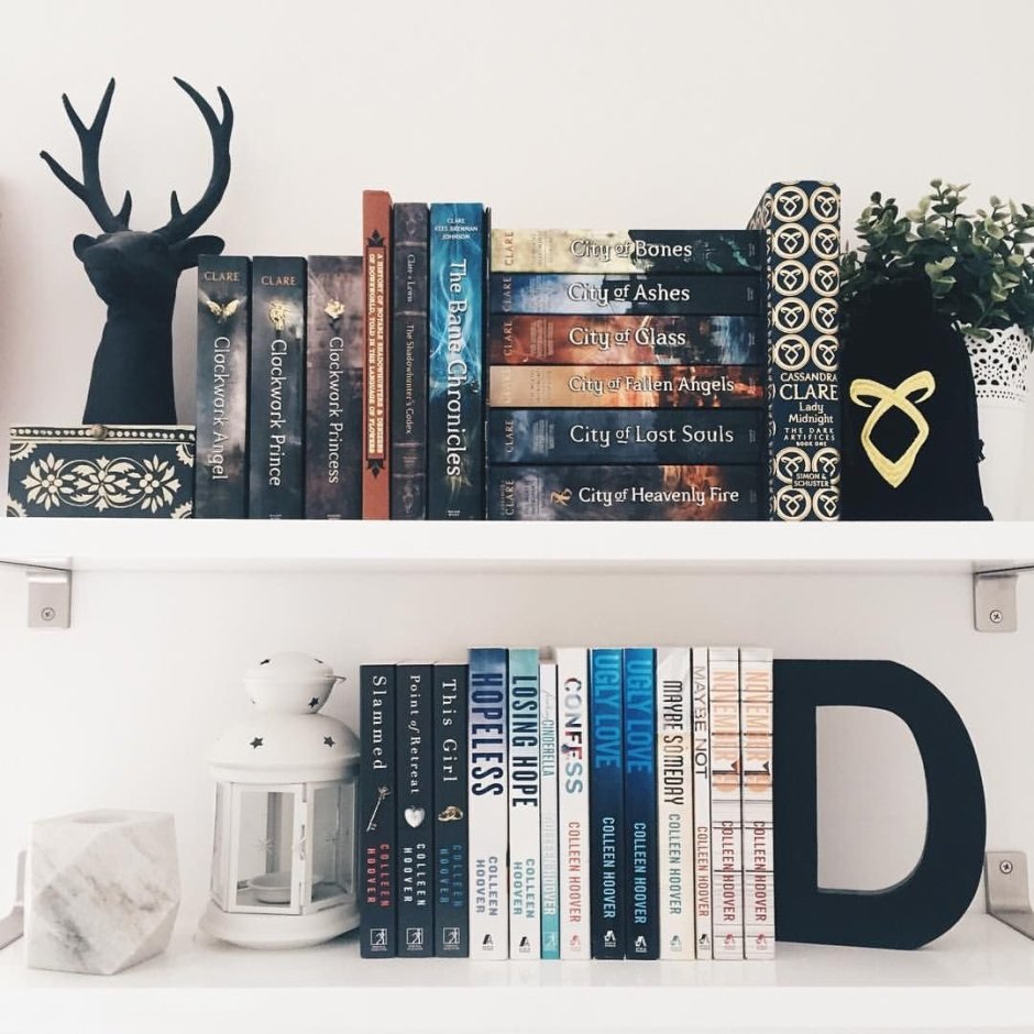 Полки с книгами Эстетика