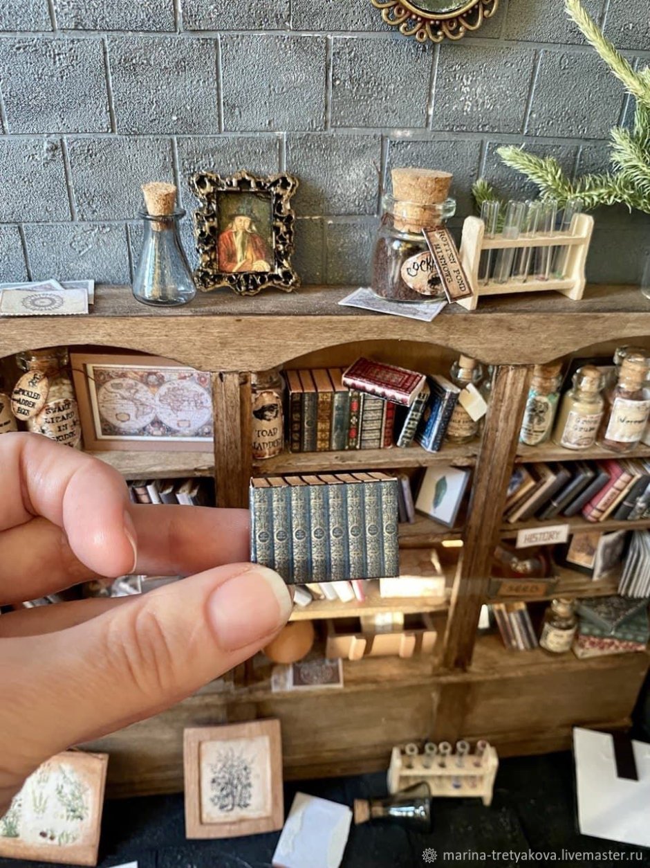 Дверь с книжными полками