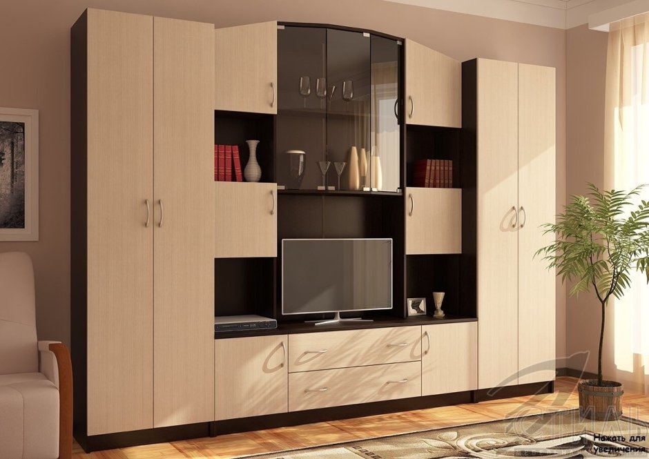 Стенки для зала со шкафом для одежды