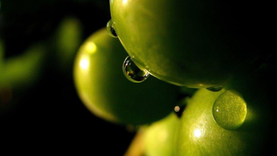 Сочные зеленые фрукты