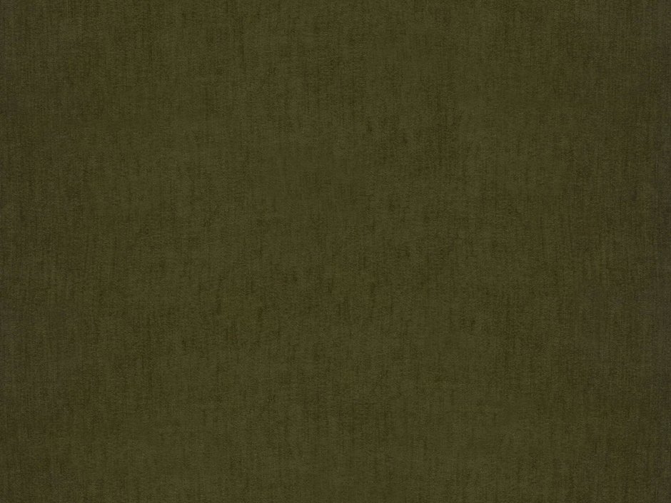 Болотно зеленый цвет