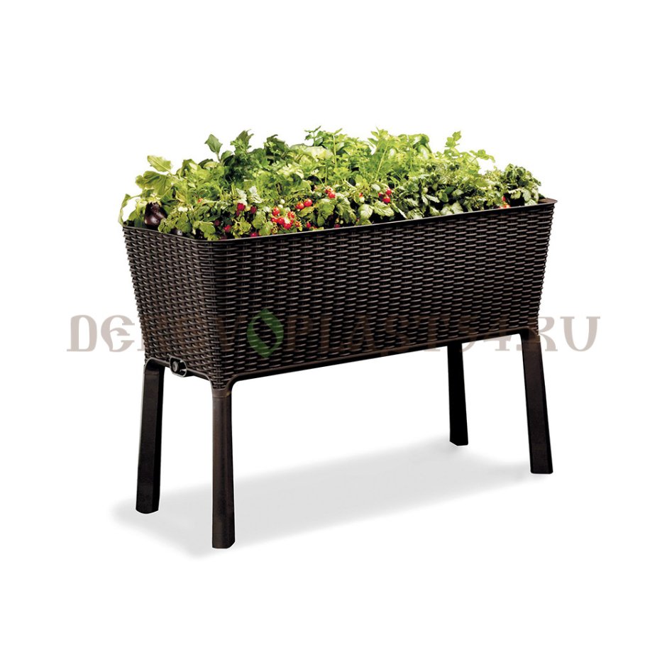 Пальма в горшке