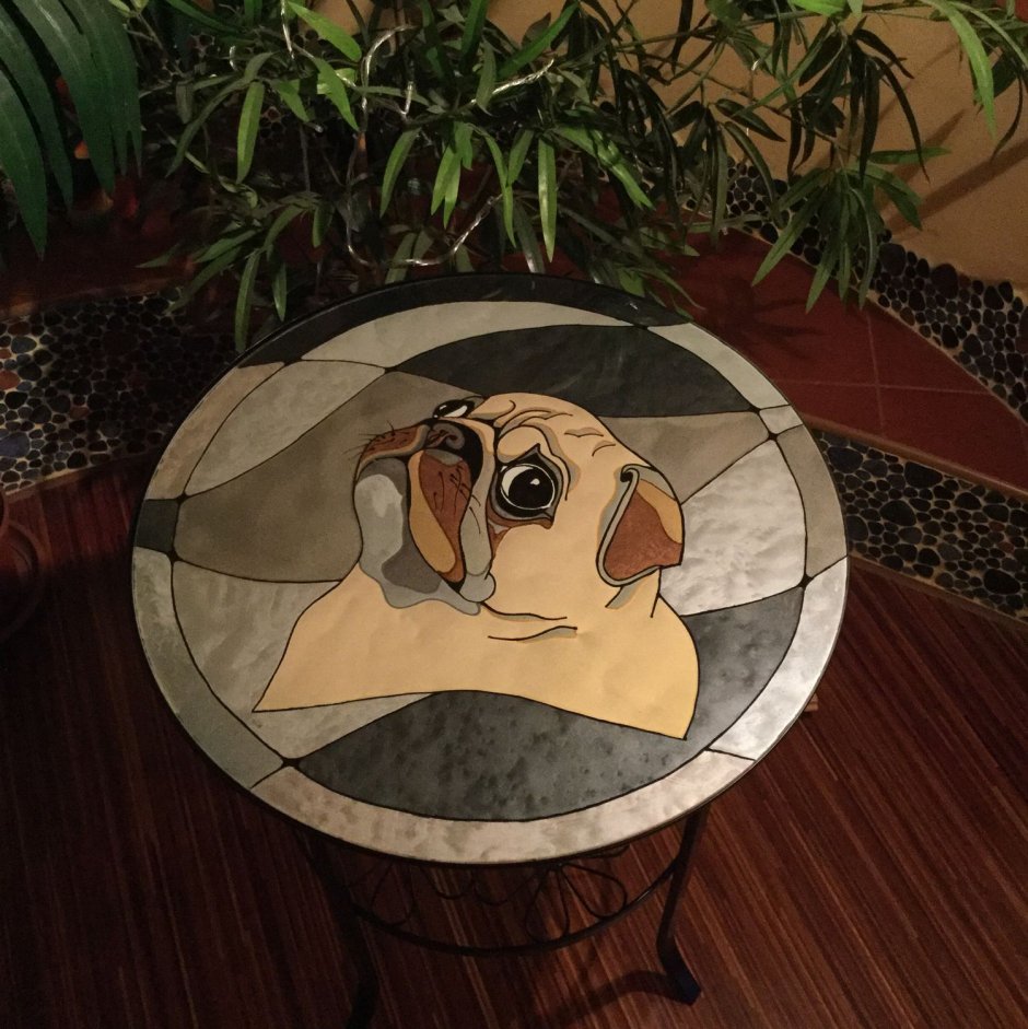 Мопс на столе