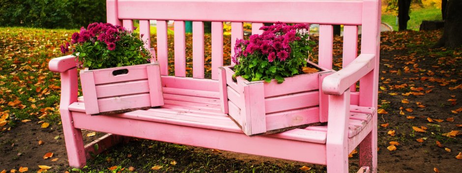 Английский сад розарий