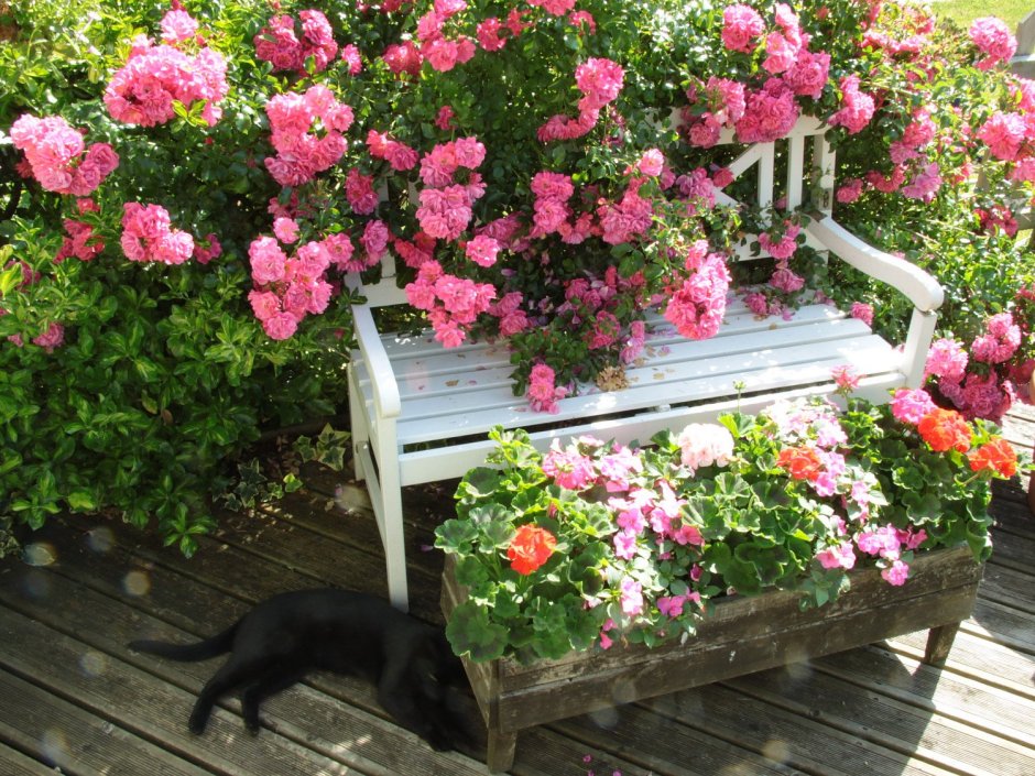 Лавочка в цветах