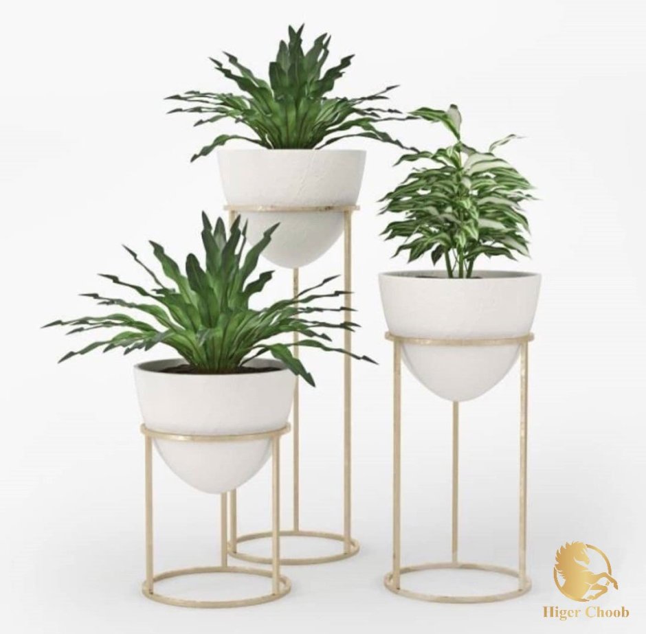 Растения для декора