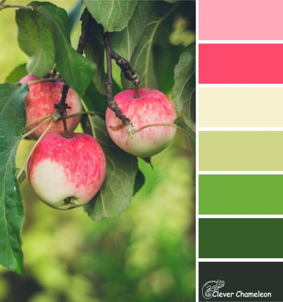 Цвет яблока