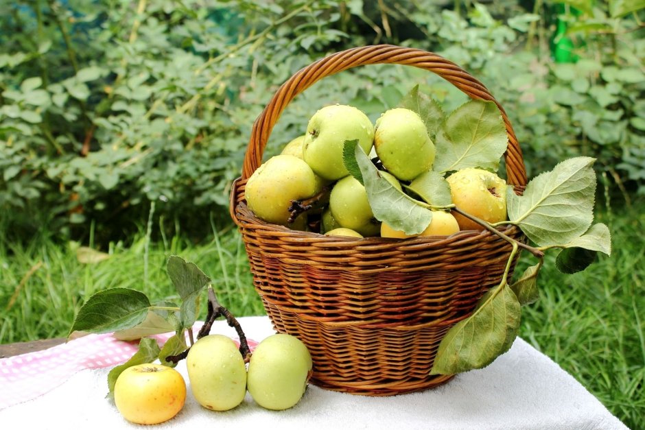 Яблочный спас фото