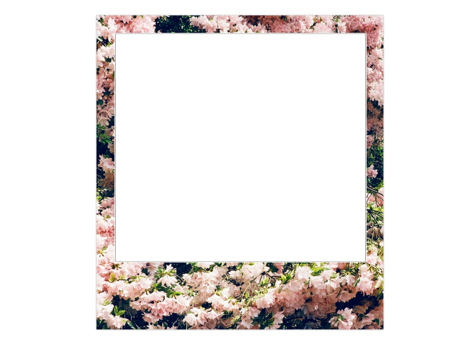 Рамка полароид