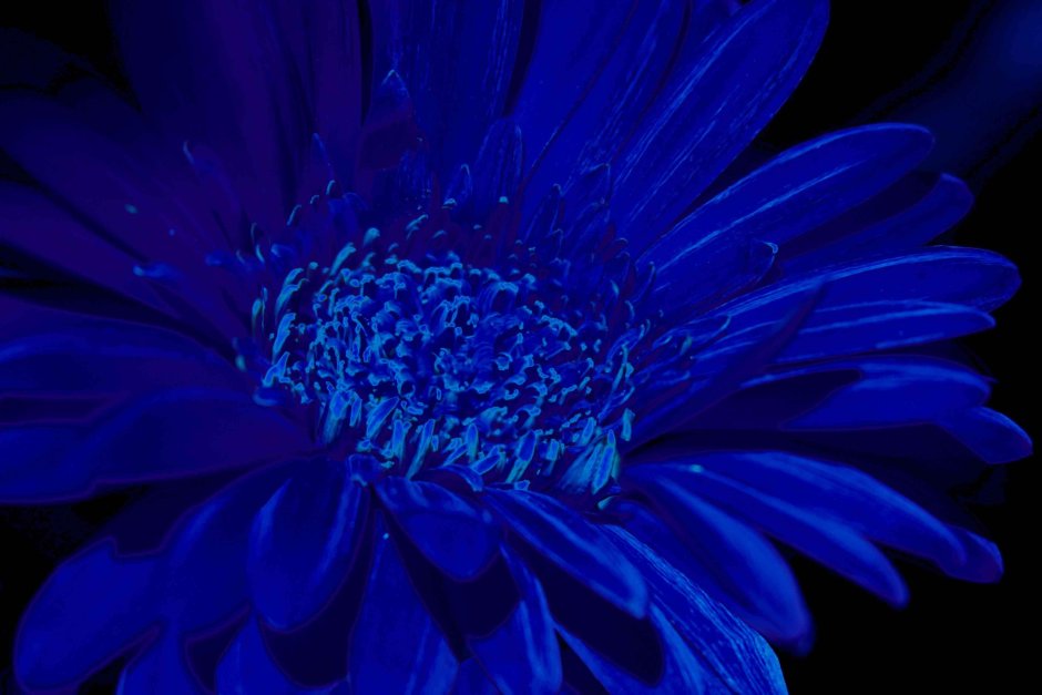 Голубые предметы