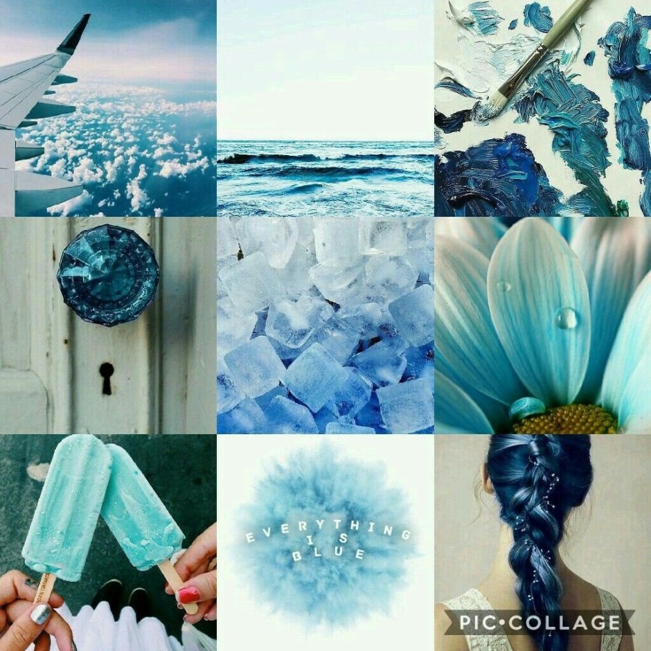 Синие розы Эстетика