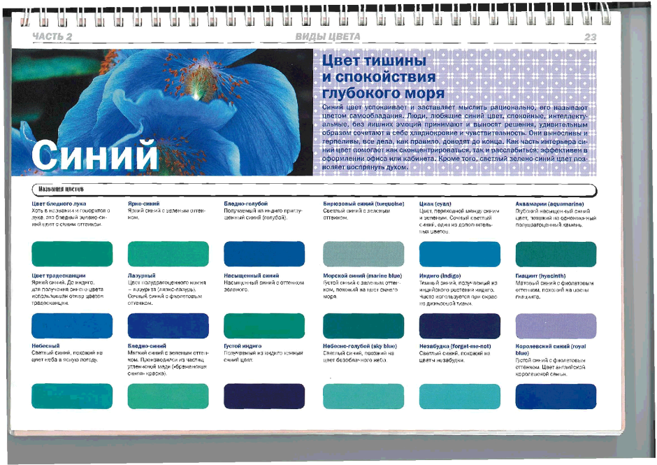 Свадьба в синем цвете