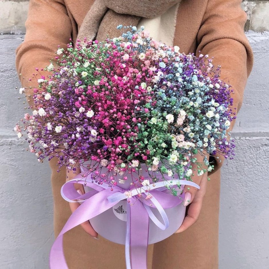 Гипсофила Рейнбоу сиреневые