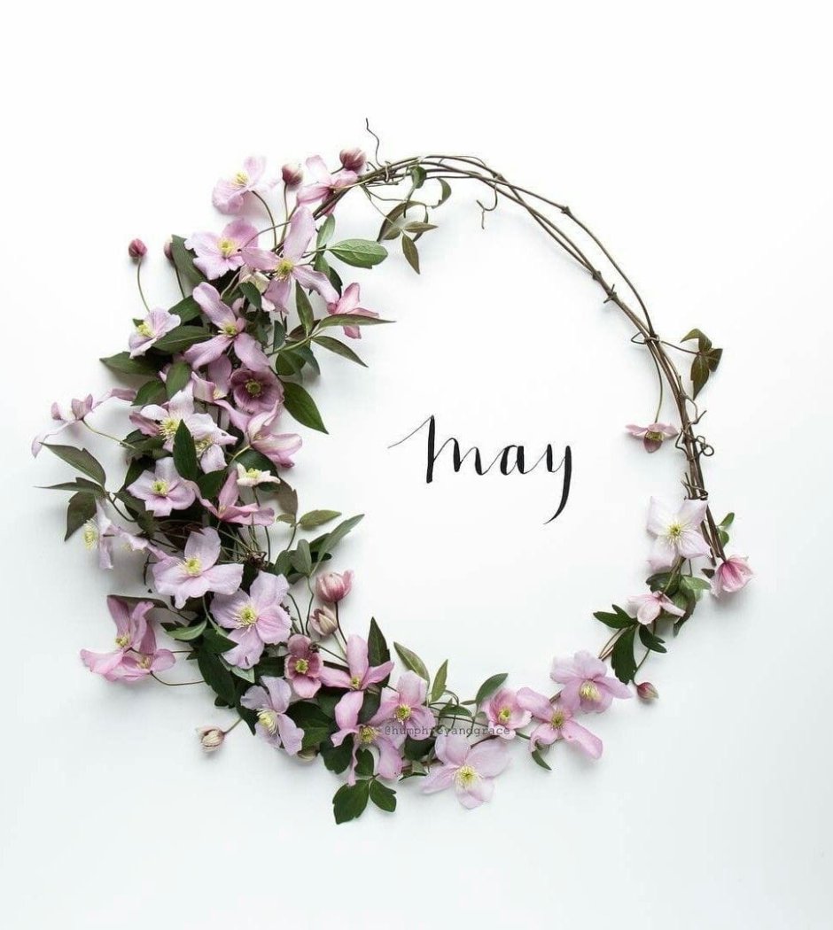 Композиция месяц из цветов