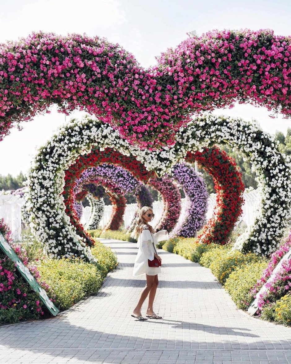 Миракл Гарден Дубай