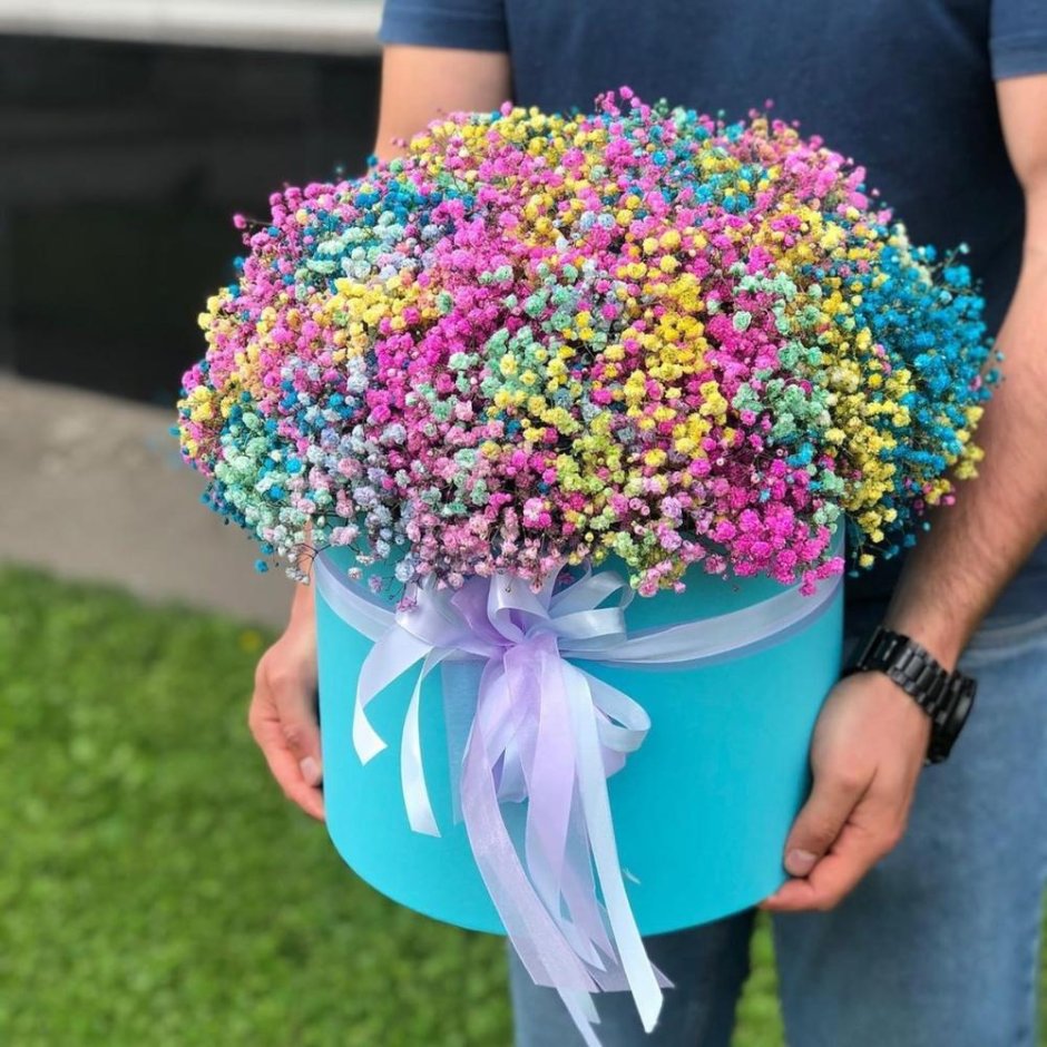 Радужная гипсофила