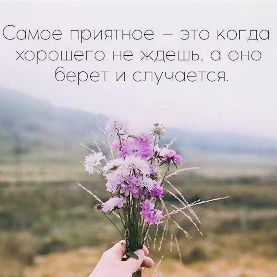 Приятные цитаты