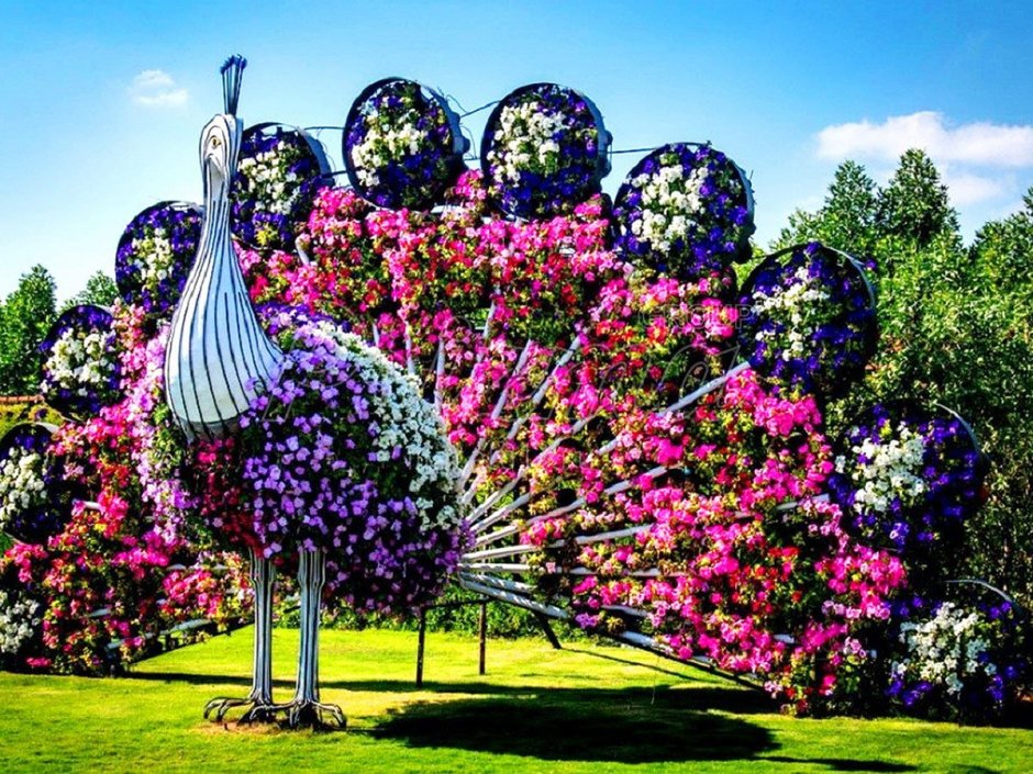 Миракл Гарден клумбы