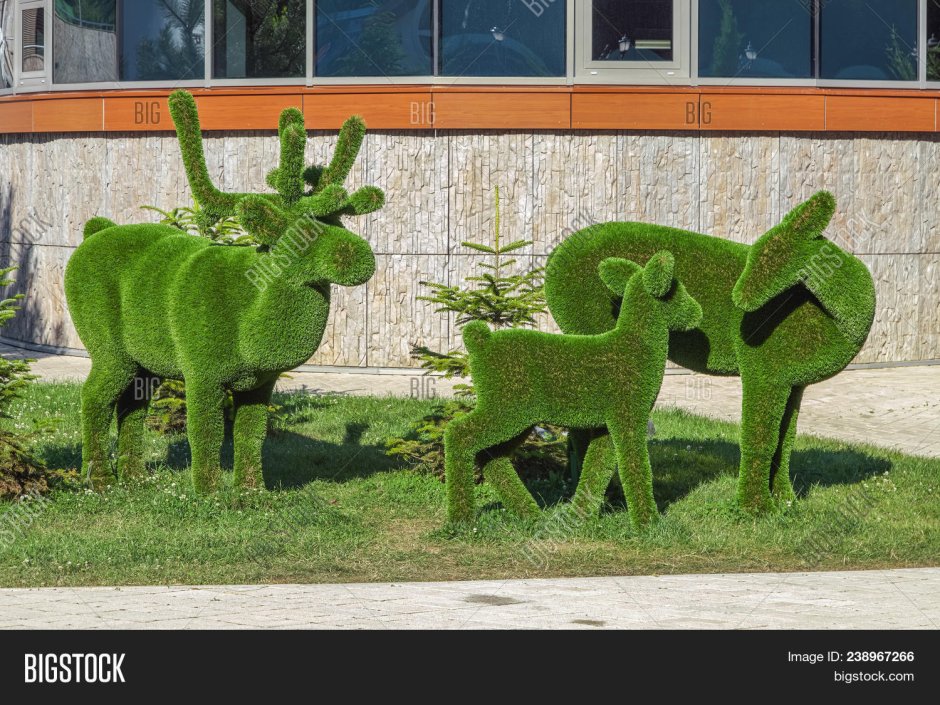 Топиари. Парк зеленая Планета. Сочи.