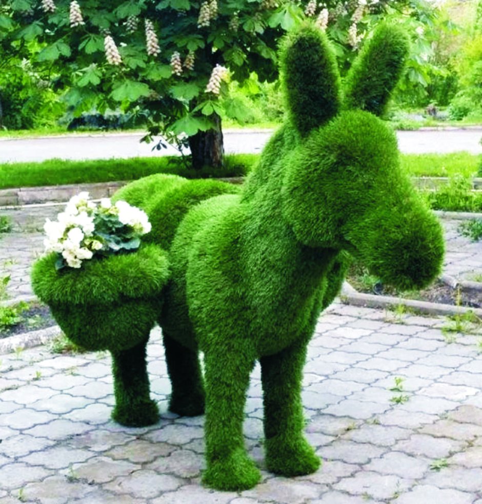 Садово-парковый Топиар