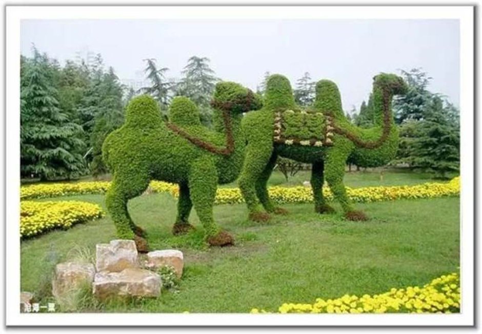 Топиарное Озеленение