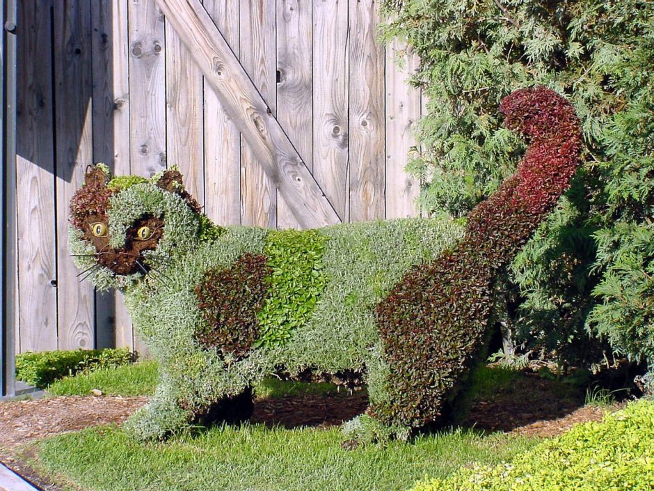 Белка топиарная фигура