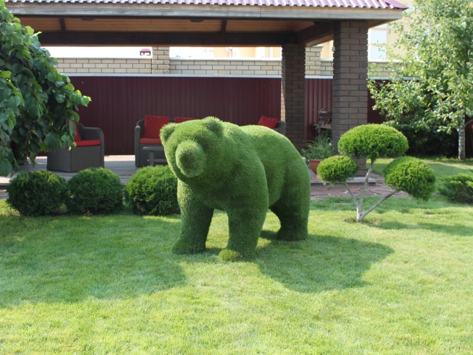 Топиарные фигуры медведи