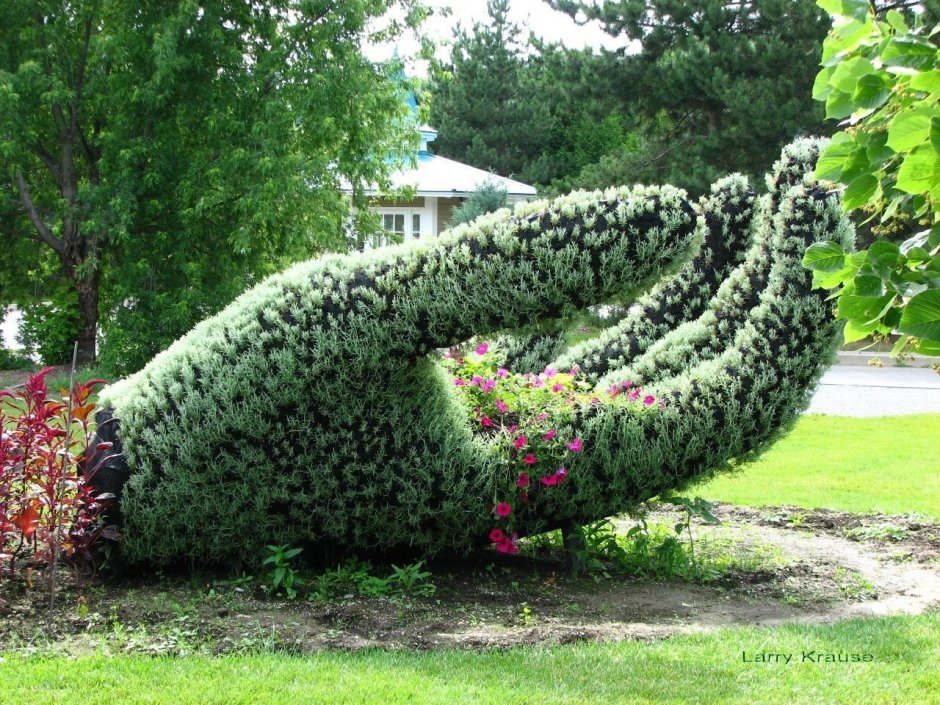 Вечнозеленые скульптуры Бачо