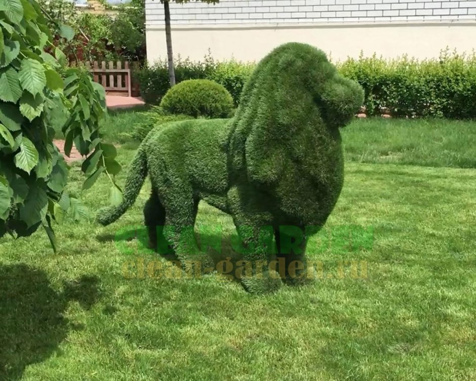 Топиарное искусство лошади