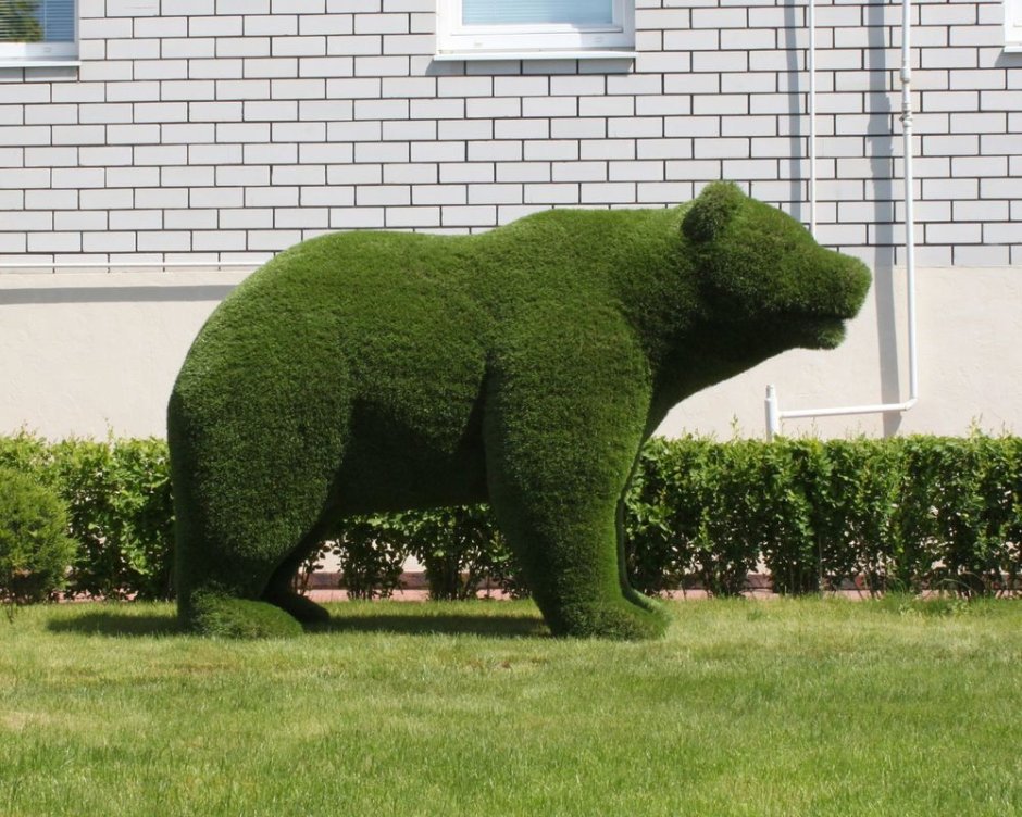 Топиарные фигуры Бачо