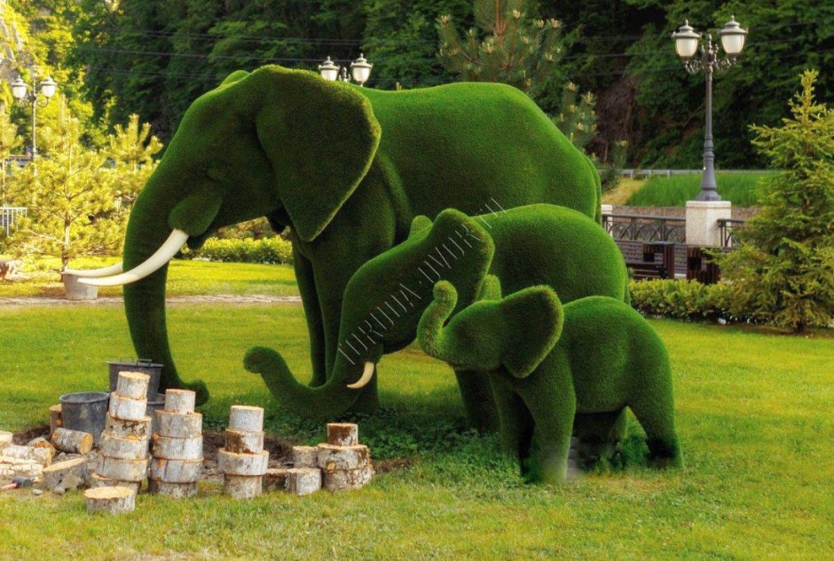 Кисловодск топиарные фигуры люди