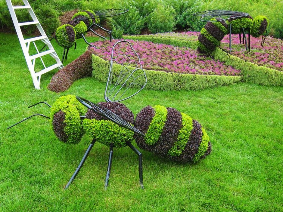 Цветочные клумбы