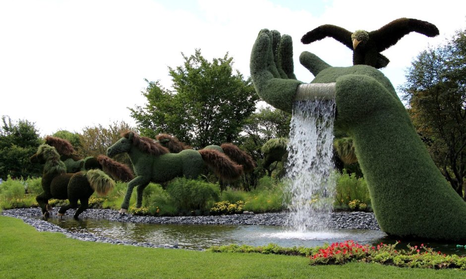 Топиарные фигуры Бачо