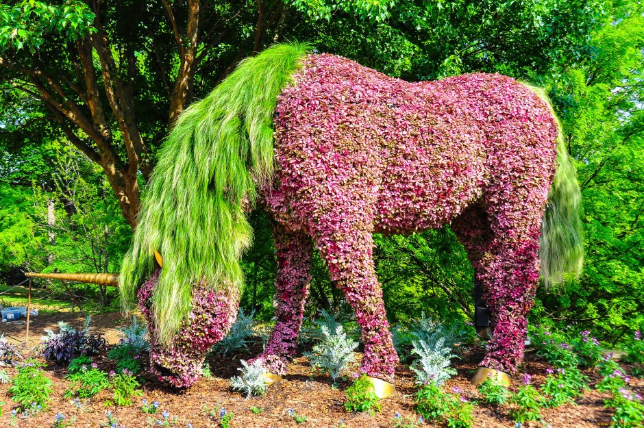 Топиарий из зелени