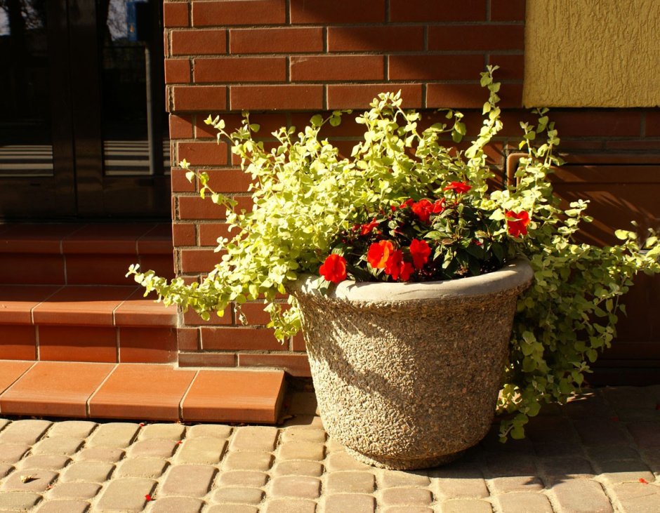 Уличные кашпо для деревьев