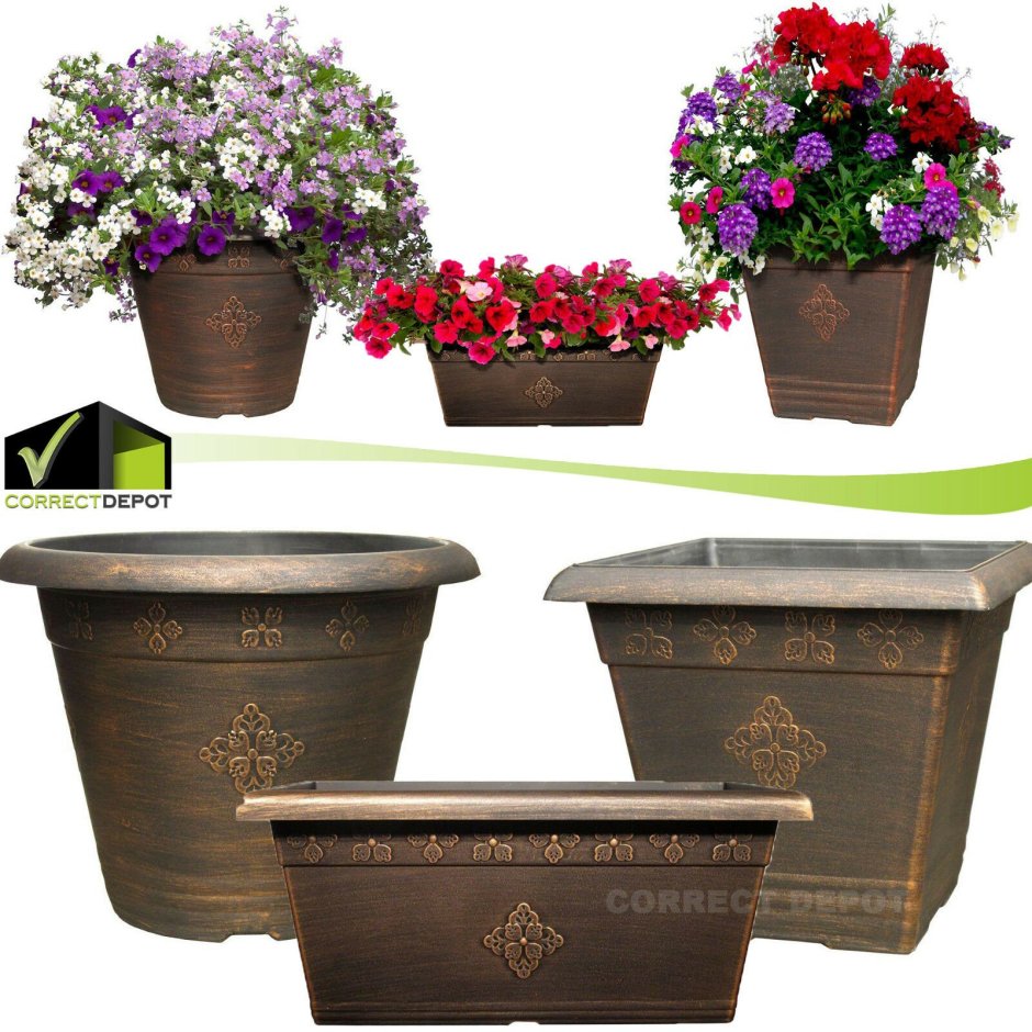 Лечуза Кубико