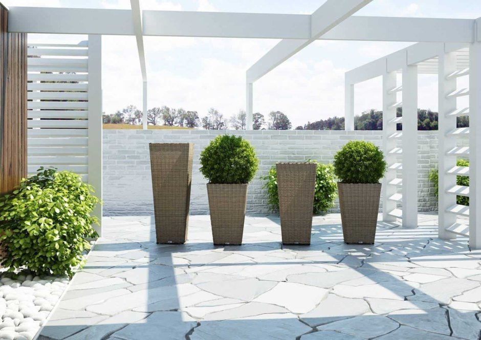 Цветы в клумбе бетонной