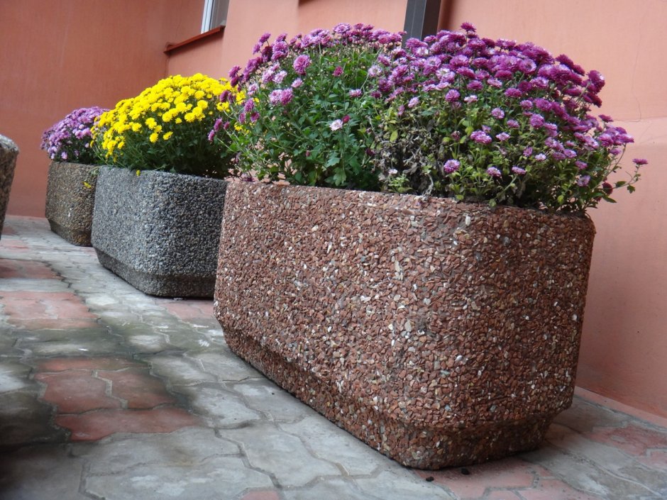 Контейнерное Озеленение патио