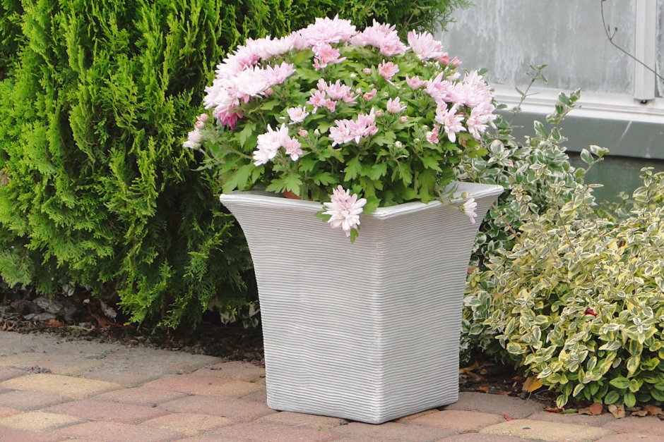 Ящик для цветов