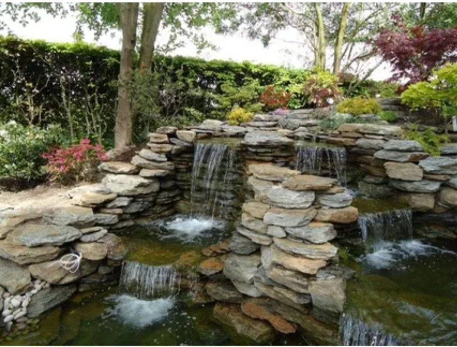 Огородный прудик