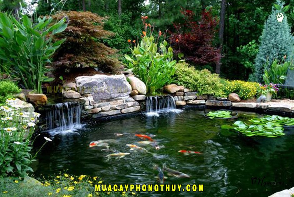 Прудик на даче