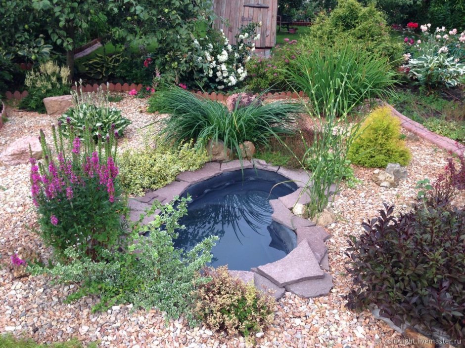 Огородный прудик