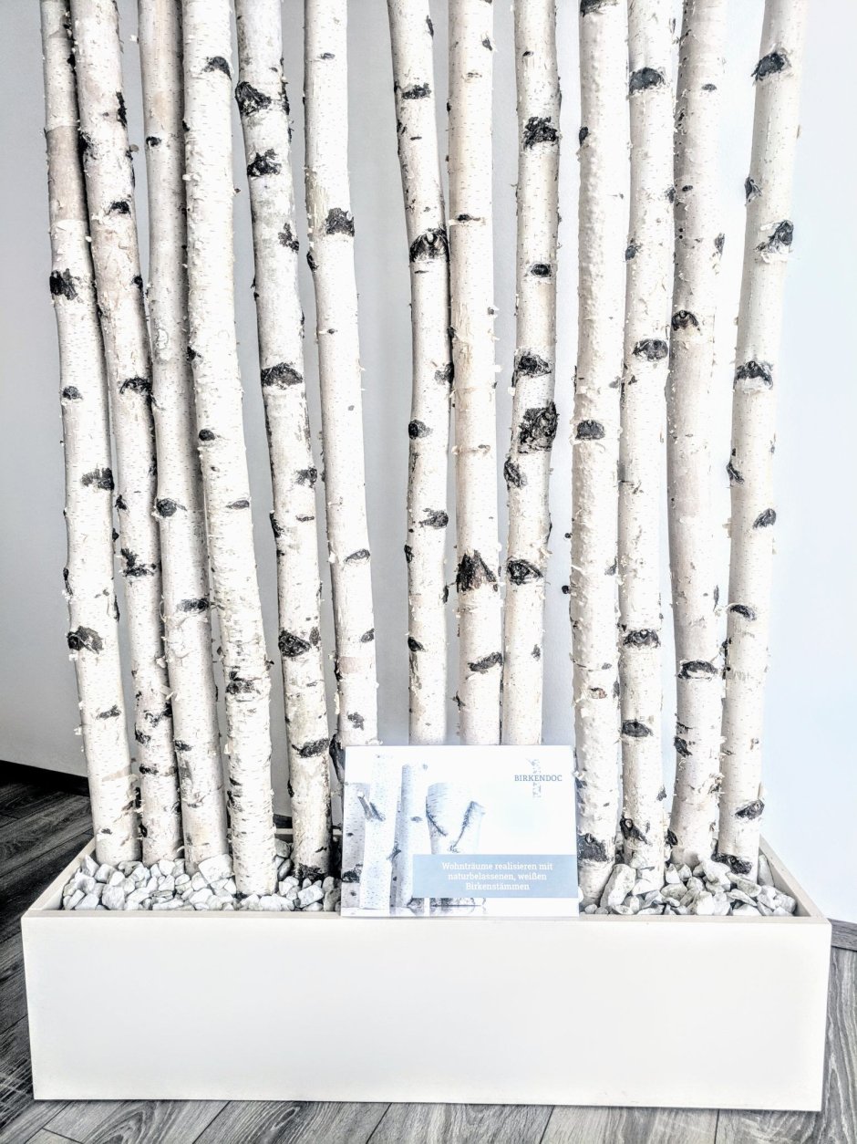 Декор из березовых стволов