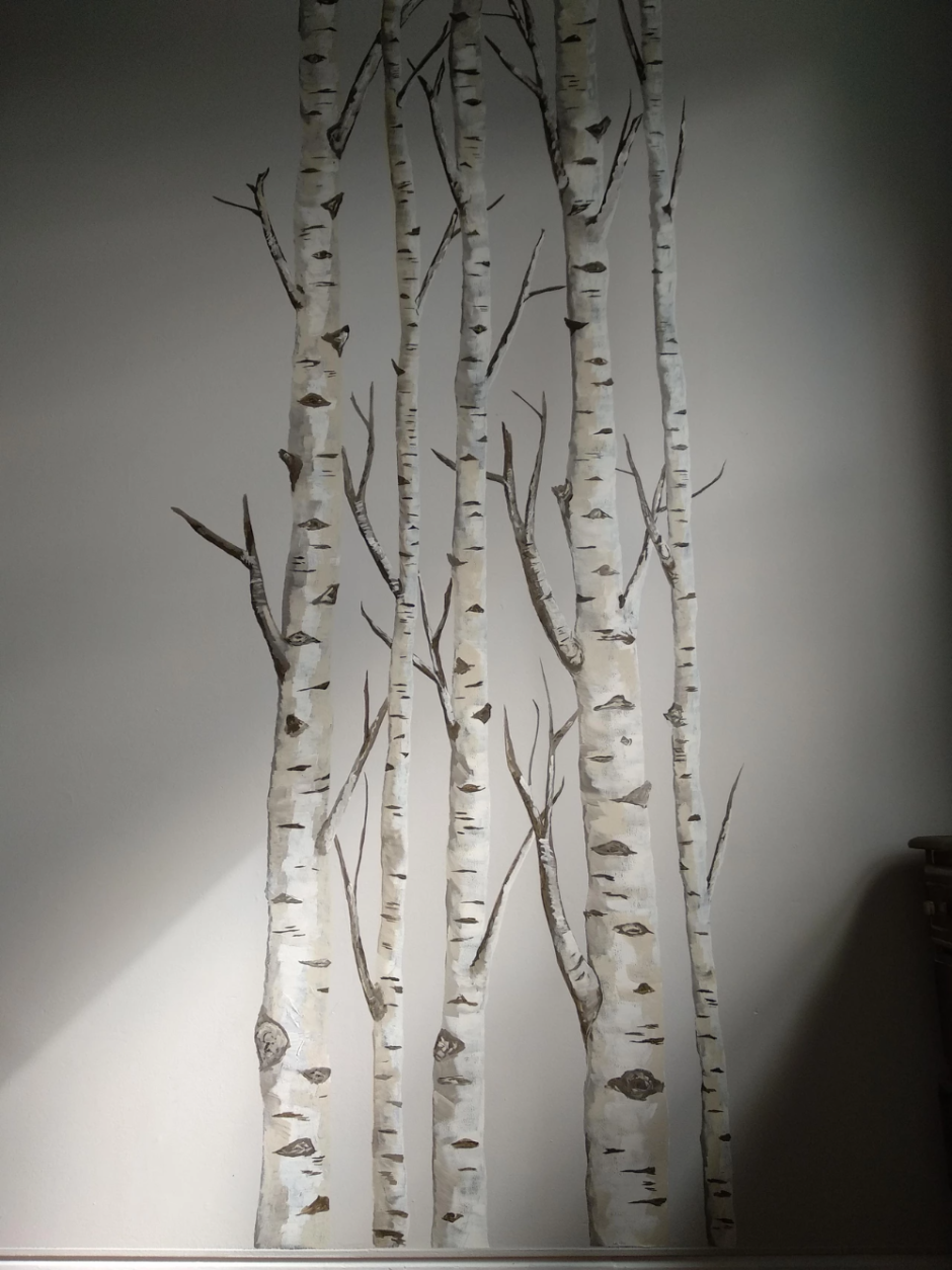 Ствол березы для аппликации