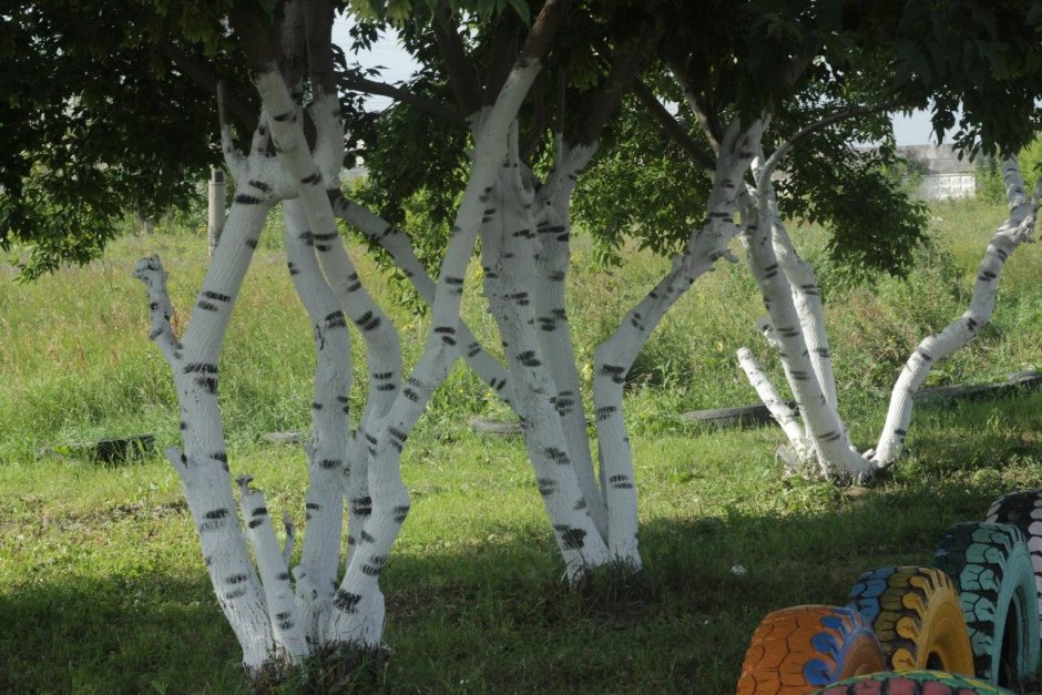 Веник в русской избе