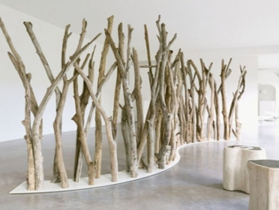 Дерево береза Весна