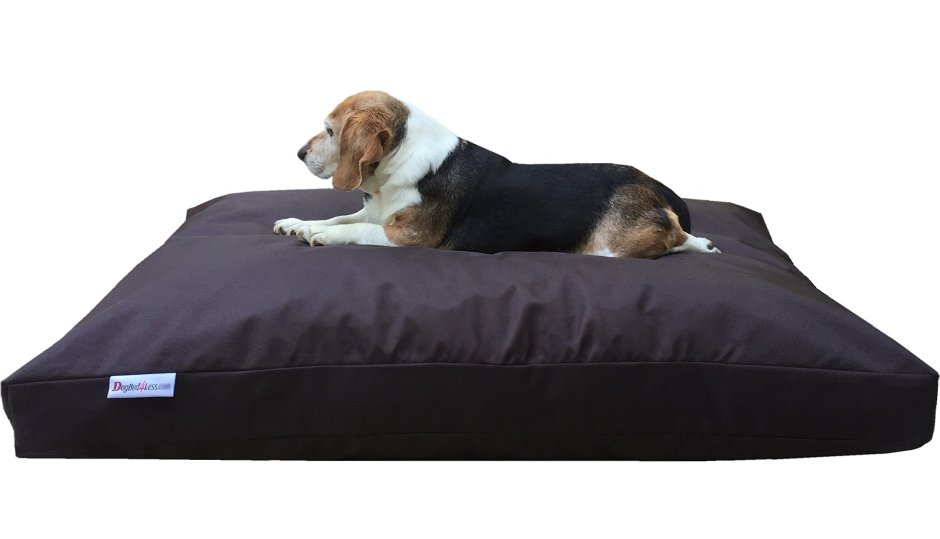 Картинку кровати пожирателя