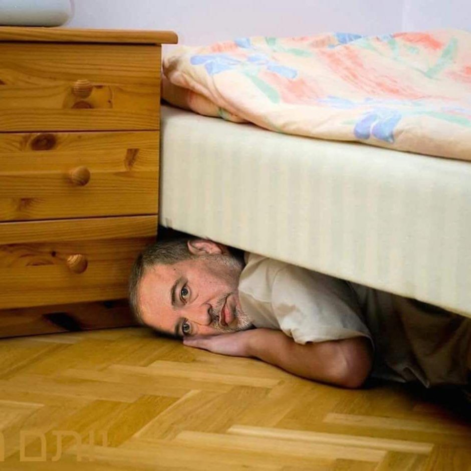 Монстры которые живут в доме