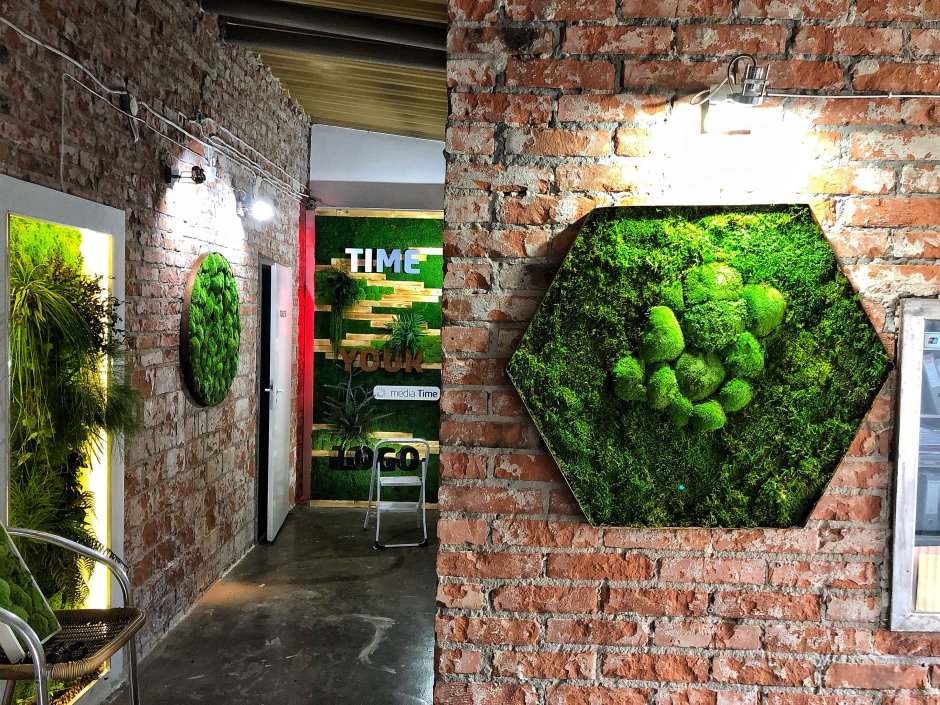 Мох в интерьере кухни