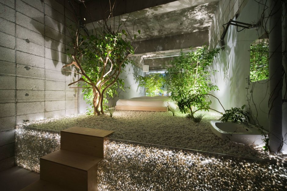 Комната с растениями